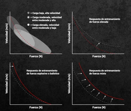 Cuatro cuadrantes de la curva fuerza-velocidad que muestran las zonas de entrenamiento de potencia: fuerza explosiva, fuerza-velocidad, velocidad-fuerza y balístico